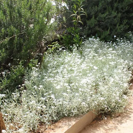 Nyaraló House With A Parking Space Brsec, Opatija - 7795 *